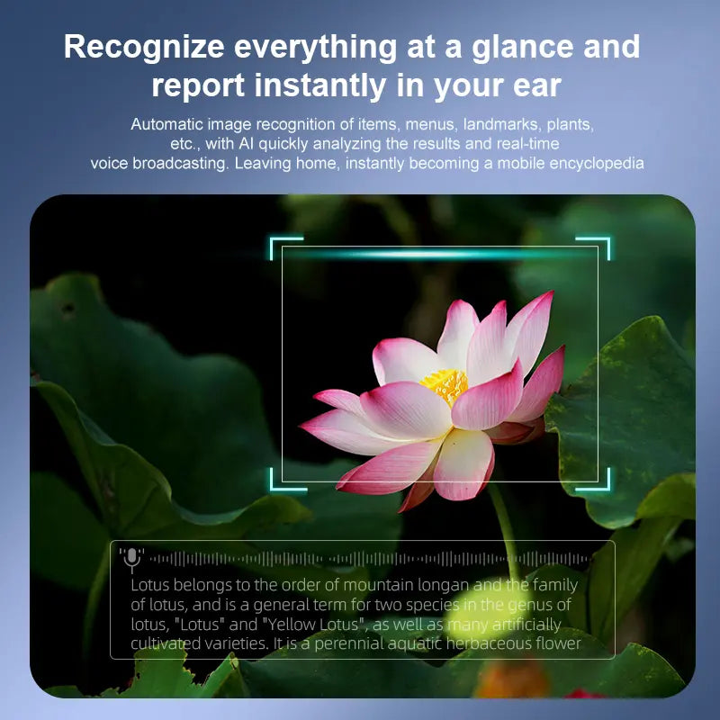 KAI AI - Lunettes intelligentes IA