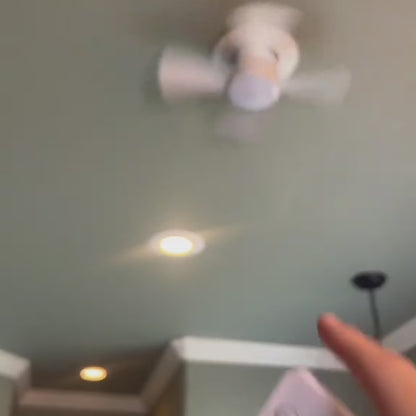 AeroLume - Socket Fan